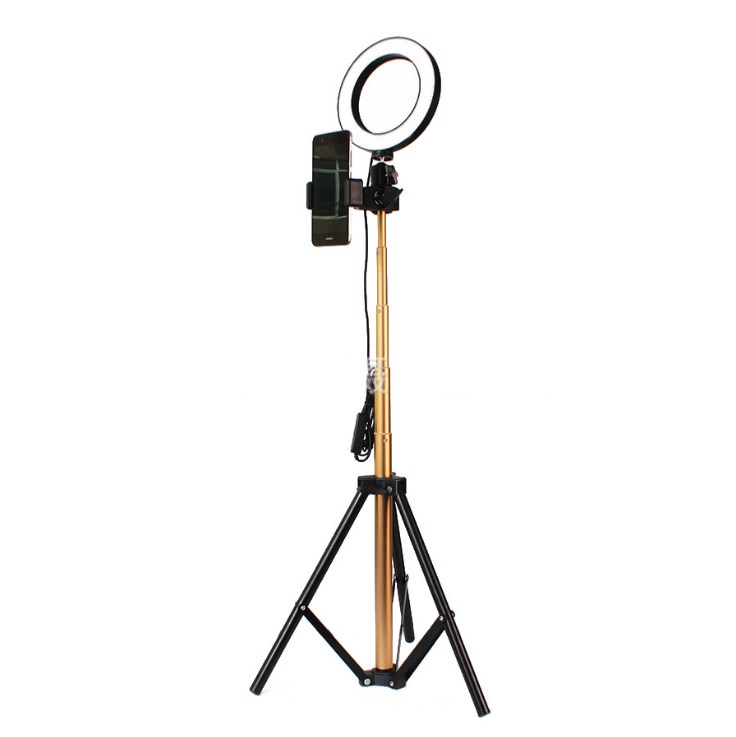Apple-Compatible Tripod Ring Light Beauty Kit